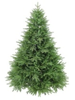 Ель California зеленая 2,1 м