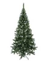 Фото Ель Амурская зеленая заснеженная с шишками 2,4 м Ель Амурская зеленая заснеженная с шишками 2,4 м