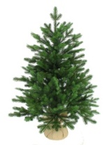 Ель Амалия зеленая 0,7 м