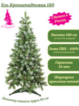 Ель Кронштадтская 1,6 м