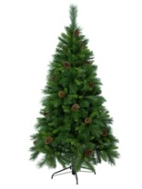 Фото Ель Primula зеленая с шишками 1,8 м Ель Primula зеленая с шишками 1,8 м