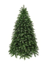 Фото Ель Онтарио зеленая 2,5 м Ель Онтарио зеленая 2,5 м