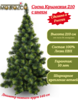 Сосна Крымская зеленая с инеем 2,1 м