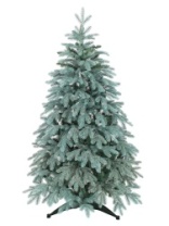 Ель Виола голубая 1,8 м