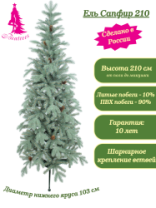 Ель Сапфир голубая с шишками 2,1 м
