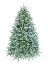 Фото Ель Монреаль зеленая с голубым 1,9 м Ель Монреаль зеленая с голубым 1,9 м