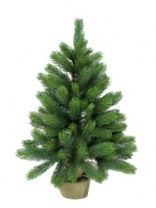 Ель Camellia зеленая в мешке 0,6 м (4)