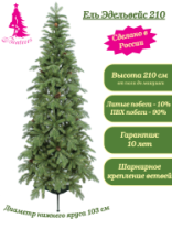 Ель Эдельвейс зеленая с шишками 2,1 м