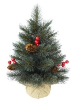 Ель Ника зеленая 0,6 м