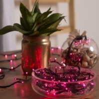 Фото Электрогирлянда 'Нить', 7 м, 180 ламп, 220V, 8 режимов, нить тёмная, свечение фиолетовое Электрогирлянда 'Нить', 7 м, 180 ламп, 220V, 8 режимов, нить тёмная, свечение фиолетовое