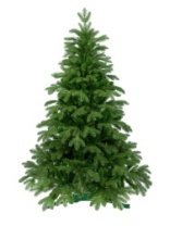 Фото Ель Anson зеленая 1,5 м Ель Anson зеленая 1,5 м