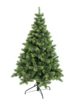 Фото Ель Лесная Красавица зеленая с шишками и инеем 1,85 м Ель Лесная Красавица зеленая с шишками и инеем 1,85 м