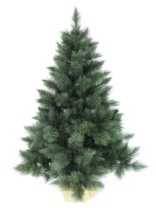 Фото Ель Моника зеленая 0,9 м Ель Моника зеленая 0,9 м