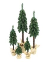 Ель Гномик зеленая на высокой ножке в мешке 1,7 м