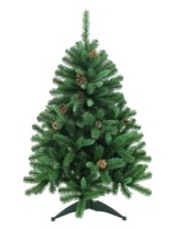Ель Ярославская зеленая с шишками 1,5 м