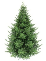 Ель Каролина 2,2 м