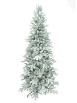 Ель Сапфир голубая заснеженная 2,4 м