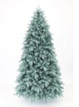 Ель Монблан голубая 2,7 м
