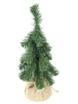 Ель Гномик зеленая в мешке 0,35 м (5)