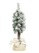 Ель Гномик зеленая заснеженная  на высокой ножке в мешке 0,35 м(5)