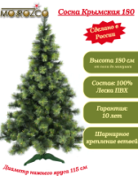 Сосна Крымская зеленая 1,8 м