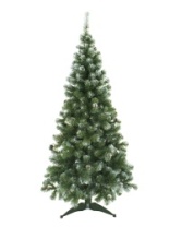 Фото Ель Кавказская зеленая заснеженная с шишками 2,1 м Ель Кавказская зеленая заснеженная с шишками 2,1 м