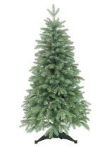 Ель Лея голубая 1,2 м