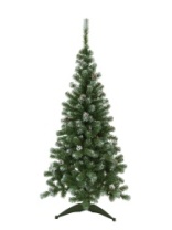 Фото Ель Амурская зеленая заснеженная с шишками 1,8 м Ель Амурская зеленая заснеженная с шишками 1,8 м