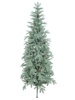 Ель Сапфир голубая с шишками 1,8 м