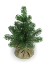 Ель Лира зеленая в мешке 0,3 м  (10)