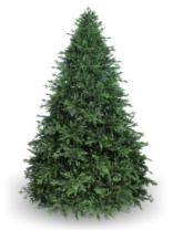 Ель Изумрудная зеленая 2,8 м