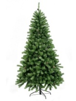 Фото Ель Nicolle зеленая с шишками 2,15 м Ель Nicolle зеленая с шишками 2,15 м