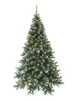 Фото Ель Альпийская заснеженная с шишками 2,4 м Ель Альпийская заснеженная с шишками 2,4 м